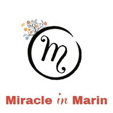 Miracle in Marin